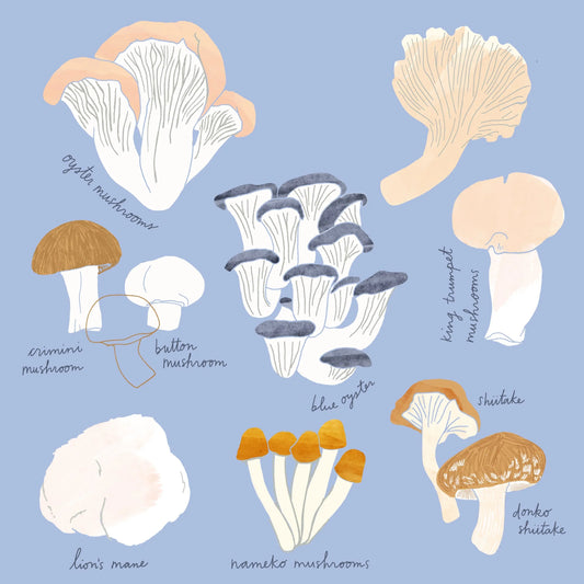 Fungi Fix: The 2025 Mushroom Wellness Reset for Brain, Gut & Chill