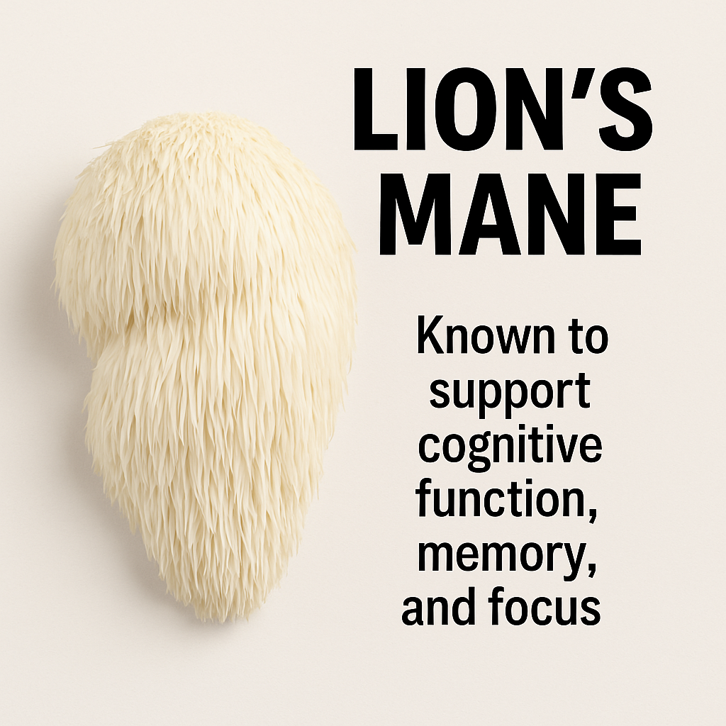 Why Everyone’s Talking About Lion’s Mane (and Why I’m Kinda Obsessed)