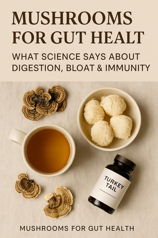 Mushrooms for Gut Health: What Science Says About Digestion, Bloat & Immunity